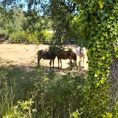 L Etrier Βίλα Lorgues Εξωτερικό φωτογραφία