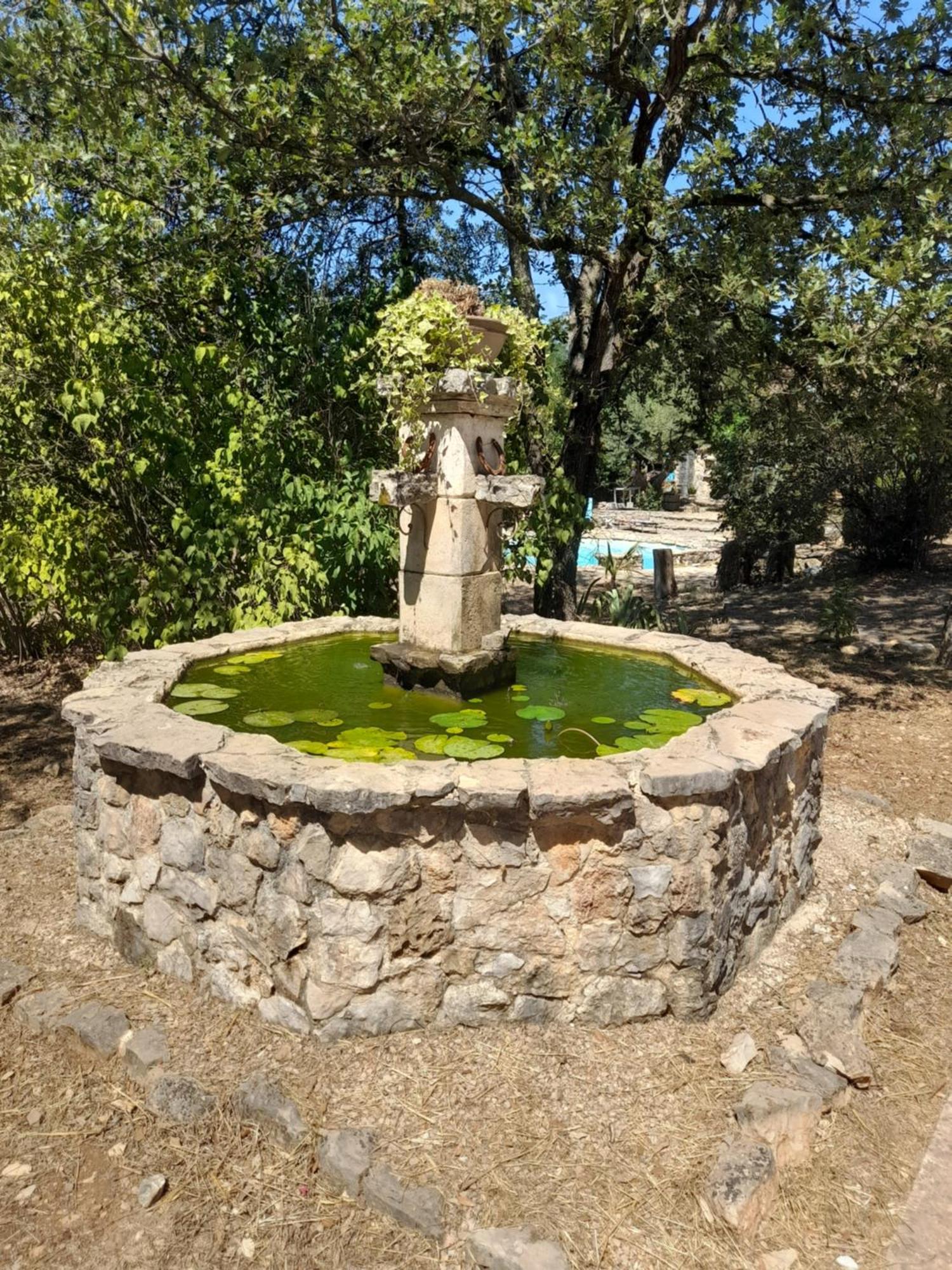L Etrier Βίλα Lorgues Εξωτερικό φωτογραφία